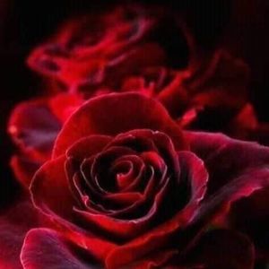 Meet your Posher, Alberto